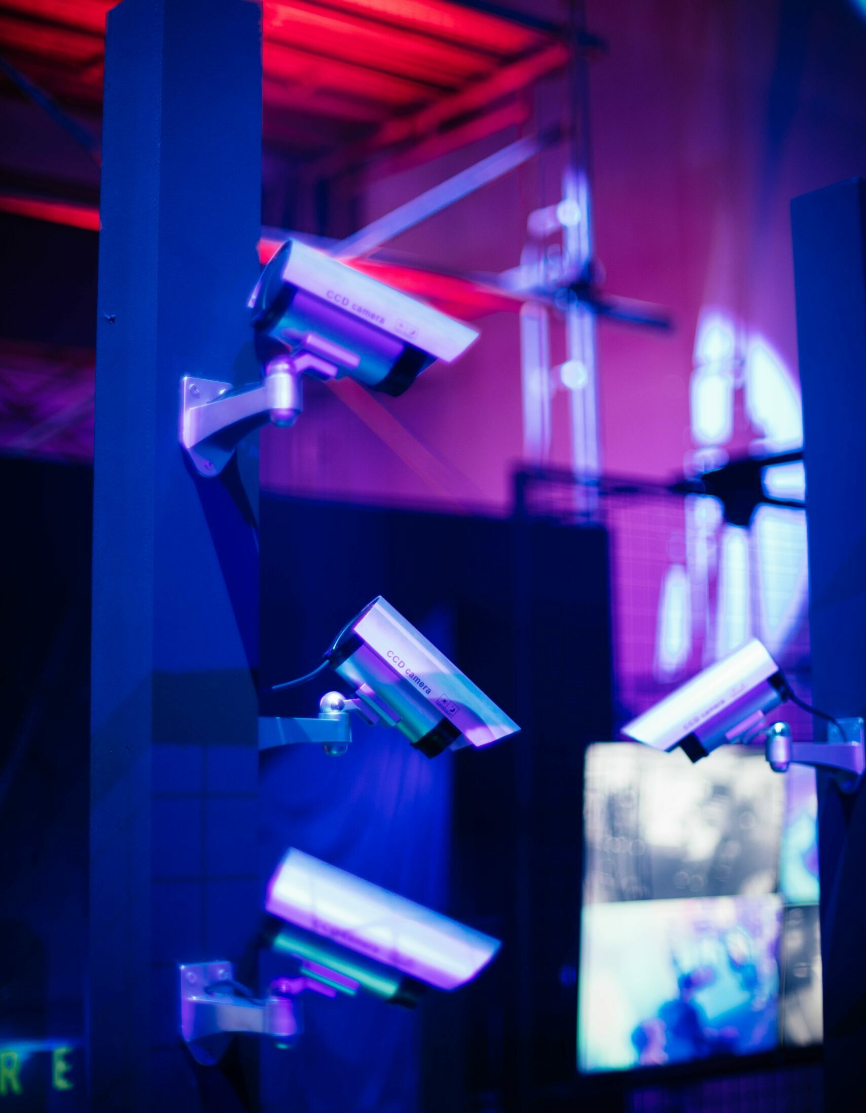 chuttersnap-T2b8Q6xQjEc-unsplash